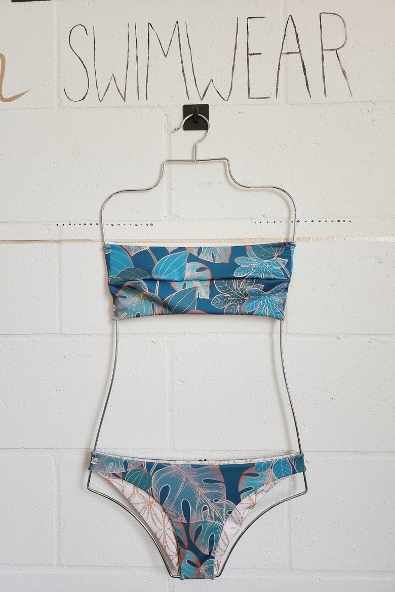 Greenhouse Monstera + Gold Dust