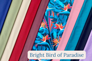 Buy bright-bop-dusty-plum Mana Hipster Bottoms